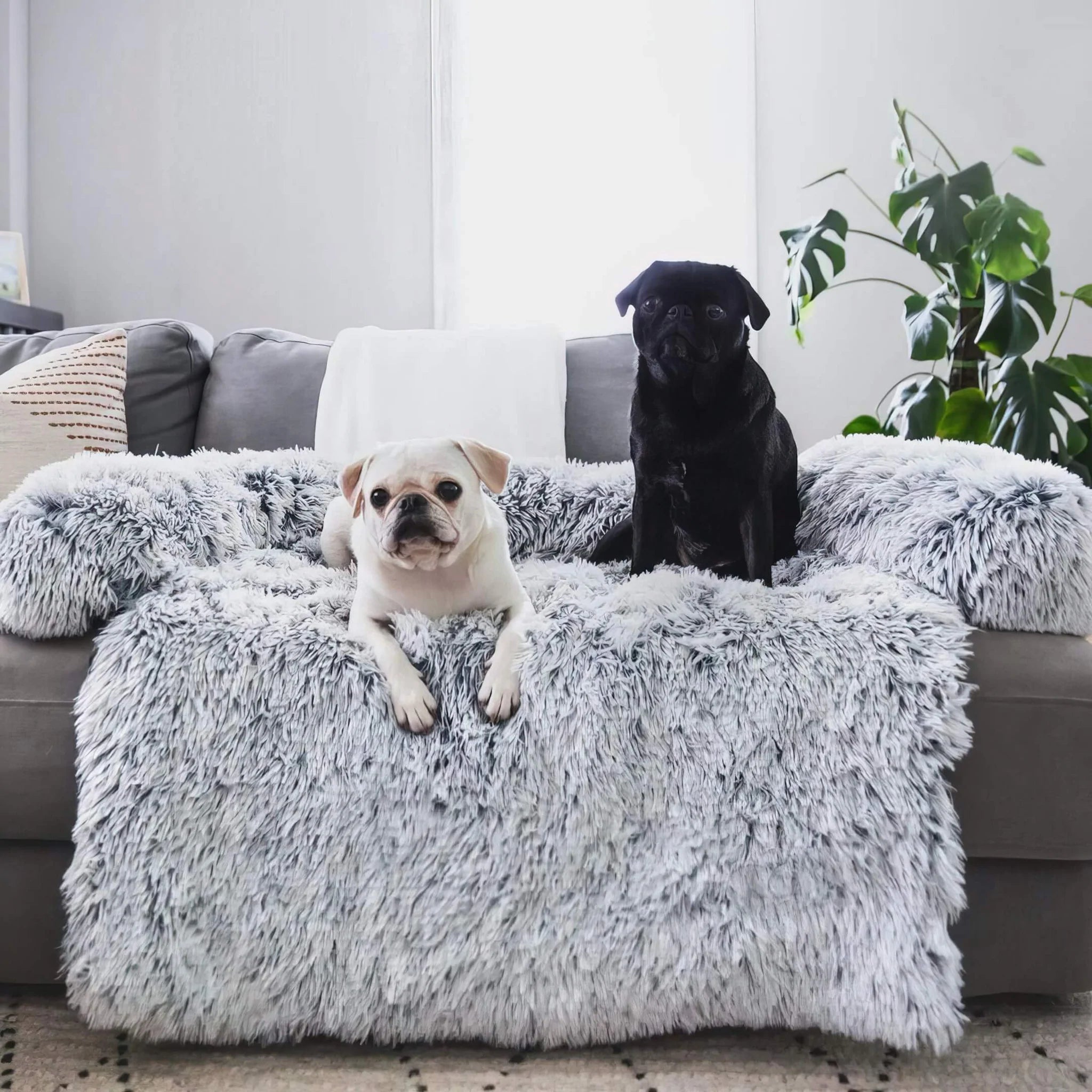 myProtect™ - Cuddly Sofa Protector for Dogs