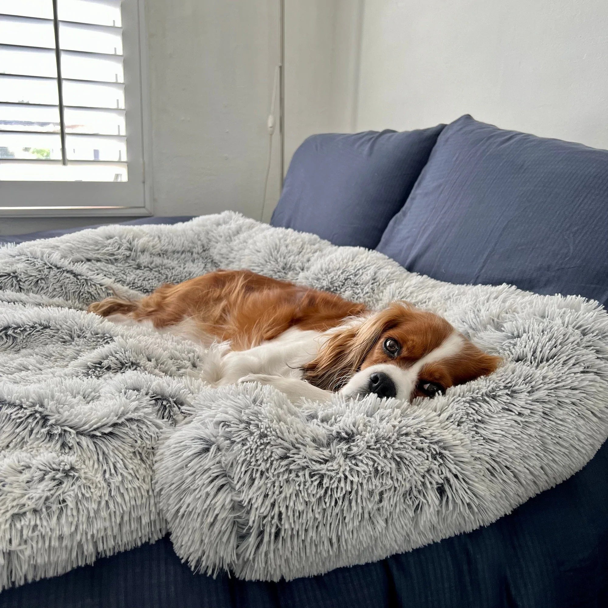 myProtect™ - Cuddly Sofa Protector for Dogs
